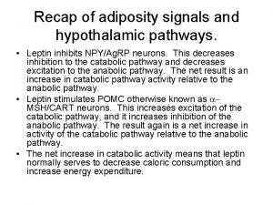 Recap of adiposity signals and hypothalamic pathways Leptin