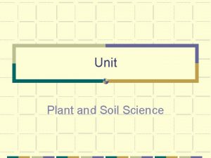 Unit Plant and Soil Science Problem Area Seed