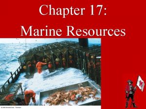 Chapter 17 Marine Resources Marine Resources Vocabulary Algin
