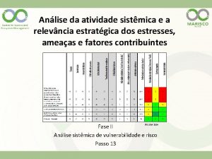 Anlise da atividade sistmica e a relevncia estratgica