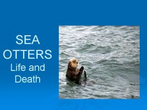 SEA OTTERS Life and Death Major Objectives Sea