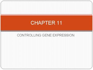 CHAPTER 11 CONTROLLING GENE EXPRESSION GENE EXPRESSION occurs