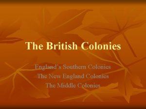 The British Colonies Englands Southern Colonies The New