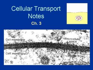 Cellular Transport Notes Ch 3 About Cell Membranes