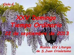 Ciclo C XXV Domingo Tiempo Ordinario 22 de