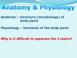 Anatomy Physiology Anatomy structure morphology of body parts
