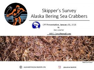 Skippers Survey Alaska Bering Sea Crabbers CPT Presentation