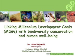 Linking Millennium Development Goals MDGs with biodiversity conservation
