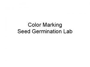 Color Marking Seed Germination Lab Steps to Success