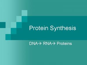 Protein Synthesis DNA RNA Proteins How does DNA