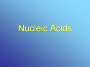 Nucleic Acids DNA Deoxyribonucleic Acid The structure of