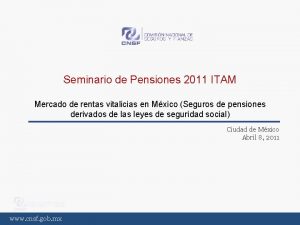 Seminario de Pensiones 2011 ITAM Mercado de rentas