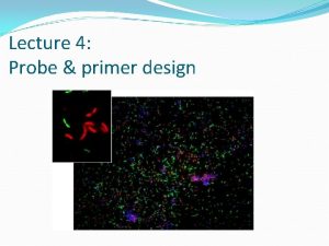 Lecture 4 Probe primer design Objective of probe