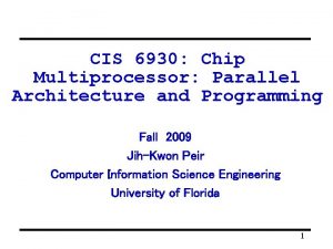 CIS 6930 Chip Multiprocessor Parallel Architecture and Programming