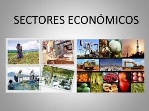 SECTORES ECONMICOS Segn el directorio de empresas en