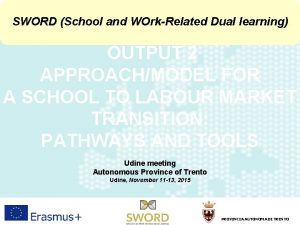 SWORD School and WOrkRelated Dual learning OUTPUT 2