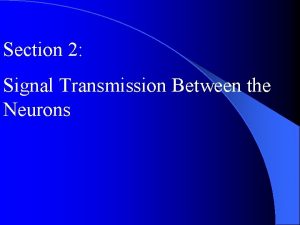 Section 2 Signal Transmission Between the Neurons Neurotransmission