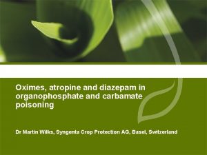 Oximes atropine and diazepam in organophosphate and carbamate