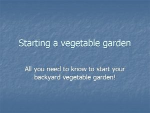 Starting a vegetable garden All you need to