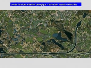 zones humides dintrt biologique Exemple marais dHarchies Stream