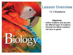 Lesson Overview Mutations Lesson Overview 13 3 Mutations