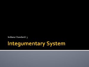 Indiana Standard 3 Integumentary System Integumentary System Skin