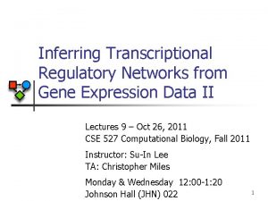 Inferring Transcriptional Regulatory Networks from Gene Expression Data