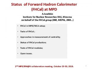 Status of Forward Hadron Calorimeter FHCal at MPD