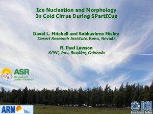 Ice Nucleation and Morphology In Cold Cirrus During