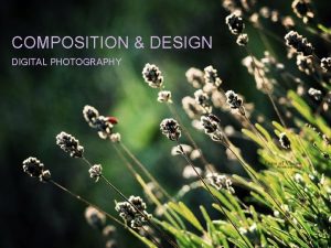 COMPOSITION DESIGN DIGITAL PHOTOGRAPHY The Compose and Expose