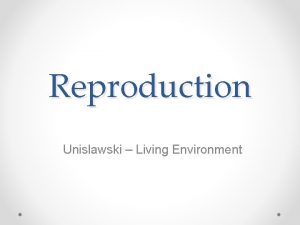 Reproduction Unislawski Living Environment The Key Roles of