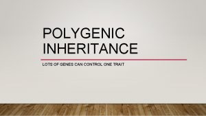 POLYGENIC INHERITANCE LOTS OF GENES CAN CONTROL ONE