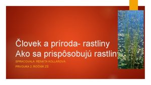 lovek a prroda rastliny Ako sa prispsobuj rastliny