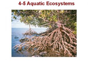 4-4 aquatic ecosystems