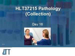 HLT 37215 Pathology Collection Day 16 V 2