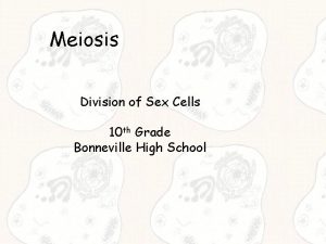 Meiosis Division of Sex Cells 10 th Grade