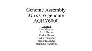 Genome Assembly M roreri genome AGRY 6000 Group
