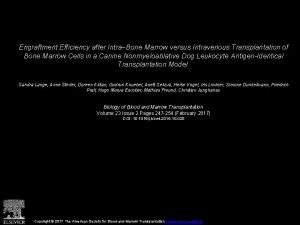 Engraftment Efficiency after IntraBone Marrow versus Intravenous Transplantation