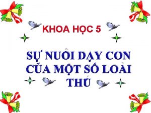 KHOA HC 5 S NUI DY CON CA