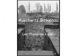 Auschwitz Birkenau Les chambres gaz Suite la dcision