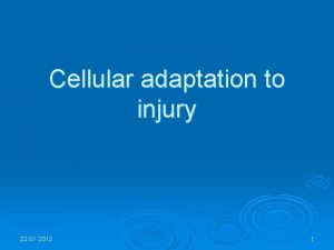 Cellular adaptation to injury 22 01 2012 1
