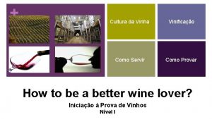 Cultura da Vinha Vinificao Como Servir Como Provar