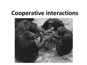 Cooperative interactions Symbiosis Symbiotic relationships are between two