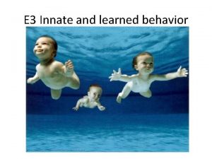 E 3 Innate and learned behavior Innate and