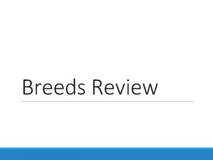 Breeds Review Cattle terms matching Giving Birth Bull