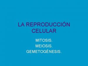 LA REPRODUCCIN CELULAR MITOSIS MEIOSIS GEMETOGNESIS EL CICLO