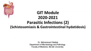 GIT Module 2020 2021 Parasitic Infections 2 Schistosomiasis