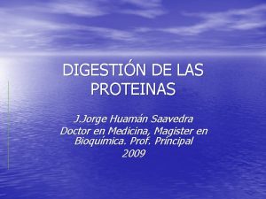 DIGESTIN DE LAS PROTEINAS J Jorge Huamn Saavedra