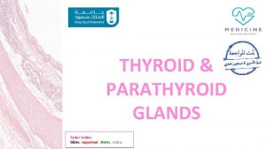 THYROID PARATHYROID GLANDS Color index Slides Important Notes