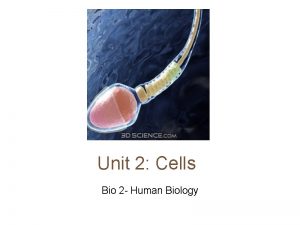 Unit 2 Cells Bio 2 Human Biology Cells